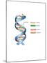 DNA-Spencer Sutton-Mounted Art Print