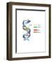 DNA-Spencer Sutton-Framed Art Print