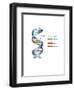 DNA-Spencer Sutton-Framed Art Print