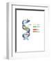 DNA-Spencer Sutton-Framed Art Print