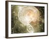 DNA-Mehau Kulyk-Framed Photographic Print