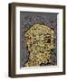 DNA-Diana Ong-Framed Giclee Print