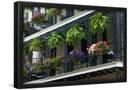 Essential Black
