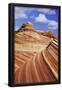 Essential Black