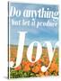Do Anything Produce Joy-Terry Eggers-Stretched Canvas