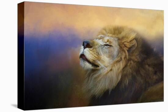 Do Lions Go to Heaven-Jai Johnson-Stretched Canvas