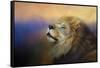 Do Lions Go to Heaven-Jai Johnson-Framed Stretched Canvas