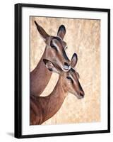 Do Not Worry, I'm Here-Mathilde Guillemot-Framed Photographic Print