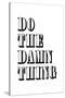 Do The Damn Thing-null-Stretched Canvas