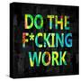 Do the Fcking Work in Color-Jamie MacDowell-Stretched Canvas