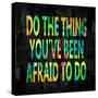 Do the Thing in Color-Jamie MacDowell-Stretched Canvas