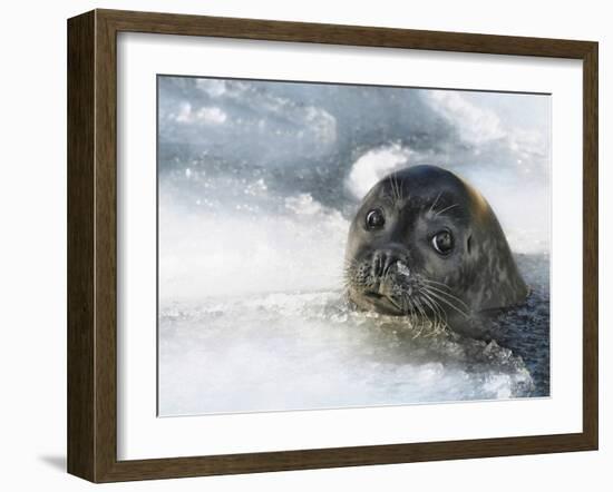 Do You Have A Fish ?-Holger Droste-Framed Giclee Print