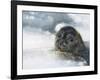 Do You Have A Fish ?-Holger Droste-Framed Giclee Print