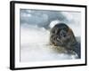 Do You Have a Fish?-Holger Droste-Framed Photographic Print