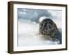 Do You Have a Fish?-Holger Droste-Framed Premium Photographic Print