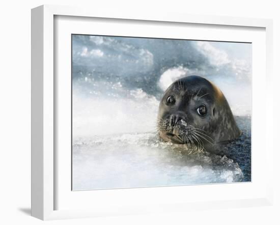 Do You Have a Fish?-Holger Droste-Framed Premium Photographic Print