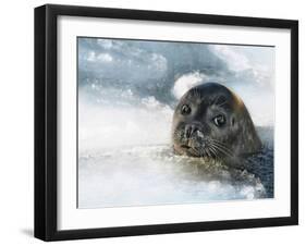 Do You Have a Fish?-Holger Droste-Framed Photographic Print