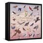 Do You Know Your State Bird?, 1996-Joe Heaps Nelson-Framed Stretched Canvas