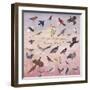 Do You Know Your State Bird?, 1996-Joe Heaps Nelson-Framed Giclee Print