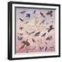 Do You Know Your State Bird?, 1996-Joe Heaps Nelson-Framed Giclee Print