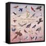 Do You Know Your State Bird?, 1996-Joe Heaps Nelson-Framed Stretched Canvas