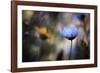 Do you wanna dance with me-Fabien BRAVIN-Framed Photographic Print