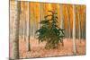 Do Your Own Thing, Northern Oregon Trees in Autumn-Vincent James-Mounted Photographic Print