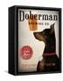 Doberman Brewing Company NY-Ryan Fowler-Framed Stretched Canvas