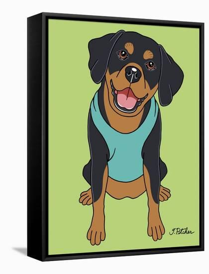 Doberman Drop Ear-Tomoyo Pitcher-Framed Stretched Canvas