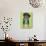 Doberman Drop Ear-Tomoyo Pitcher-Giclee Print displayed on a wall