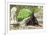 Doberman Lying on Steps-null-Framed Photographic Print