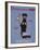 Doberman Pilsner-Ken Bailey-Framed Giclee Print