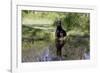 Doberman Pincher Lying in Green Grass and Reflecting into Rain Pool, St. Charles, Illinois USA-Lynn M^ Stone-Framed Photographic Print