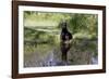 Doberman Pincher Lying in Green Grass and Reflecting into Rain Pool, St. Charles, Illinois USA-Lynn M^ Stone-Framed Photographic Print