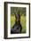 Doberman Pincher, Portrait, in Wild Mustard in Meadow, St. Charles, Illinois, USA-Lynn M^ Stone-Framed Photographic Print