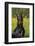 Doberman Pincher, Portrait, in Wild Mustard in Meadow, St. Charles, Illinois, USA-Lynn M^ Stone-Framed Photographic Print