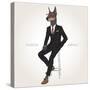 Doberman Pinscher Dog Dressed up in Black Suit - Fashion Animals Illustration-Olga_Angelloz-Stretched Canvas