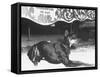 Doberman Pinscher, Duke, a Vicious Guard Dog, Chained-null-Framed Stretched Canvas