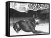 Doberman Pinscher, Duke, a Vicious Guard Dog, Chained-null-Framed Stretched Canvas