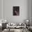 Doberman Pinscher Growling-DLILLC-Framed Stretched Canvas displayed on a wall