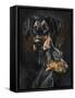 Doberman Pinscher-Barbara Keith-Framed Stretched Canvas