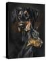 Doberman Pinscher-Barbara Keith-Stretched Canvas