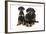 Dobermann Puppy and Adult-null-Framed Photographic Print