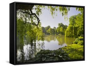 Doblhoffpark, Doblhoffteich, Baden Bei Wien, Lower Austria, Austria-Rainer Mirau-Framed Stretched Canvas