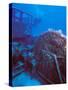 Doc Polson Wreck in the sea, Grand Cayman, Cayman Islands-null-Stretched Canvas