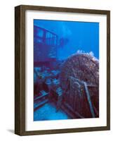 Doc Polson Wreck in the sea, Grand Cayman, Cayman Islands-null-Framed Photographic Print