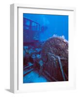 Doc Polson Wreck in the sea, Grand Cayman, Cayman Islands-null-Framed Photographic Print