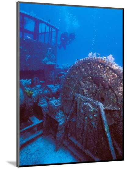 Photographic Print, , large
