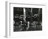 Dock and Water, Reflections, 1971-Brett Weston-Framed Photographic Print