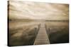 Dock at Crooked Lake, Conway, Michigan 09-Monte Nagler-Stretched Canvas